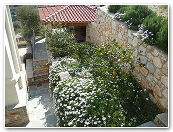 Labetia Apartments - Petries Evia